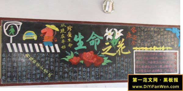 中学生安全黑板报