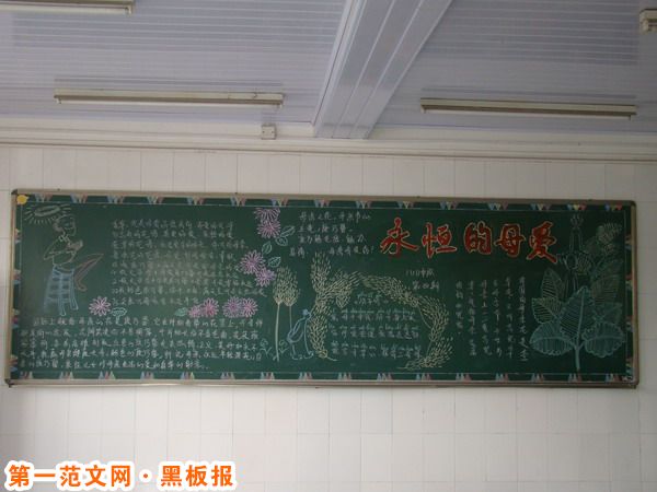 母亲节黑板报：母亲之花--康乃馨