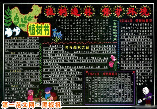 植树节黑板报：银杉