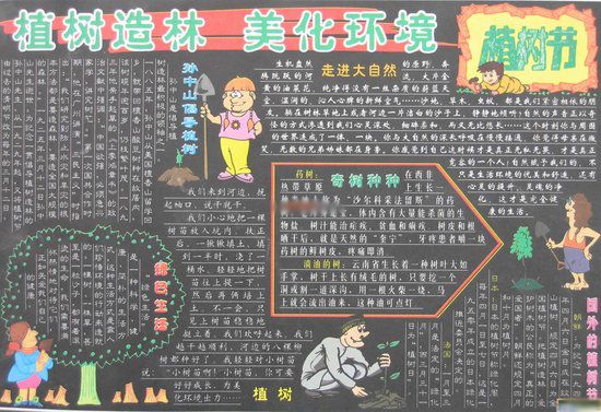 植树节黑板报：纽约城市绿化经验