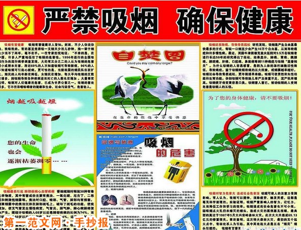 世界无烟日手抄报：手抄报内容青少年危害