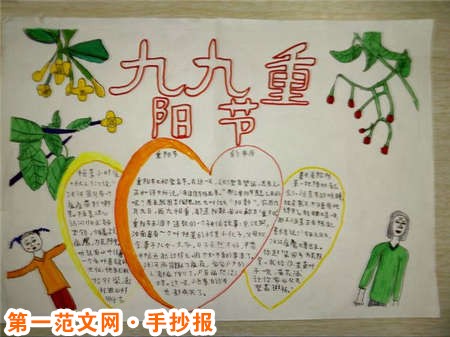 重阳节手抄报:什么是菊花酒 重阳节手抄报:什么是菊花酒