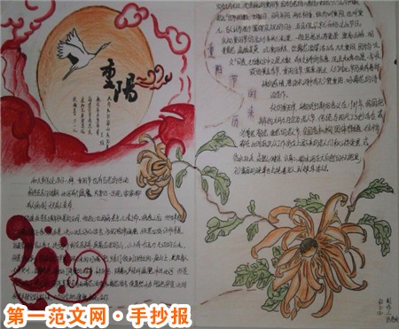 重阳节手抄报:重菊花飘清香 重阳节手抄报:重菊花飘清香
