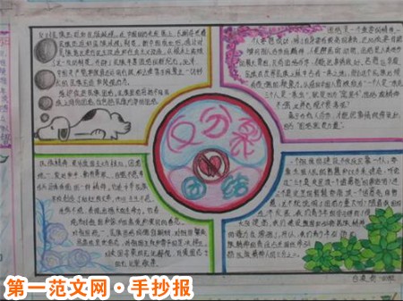 民族团结手抄报资料：树立马克思主义民族观