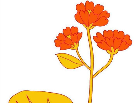 手抄报花边：橘红色的花