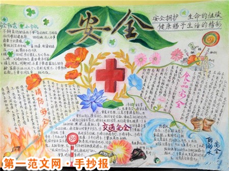 安全教育手抄报：如何预防台风的破坏