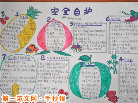 安全教育手抄报：遇到蜂窝别乱捅