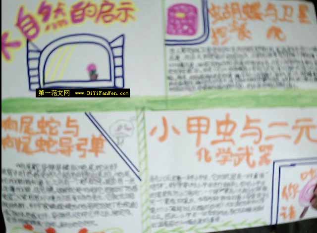 大自然的启示手抄报