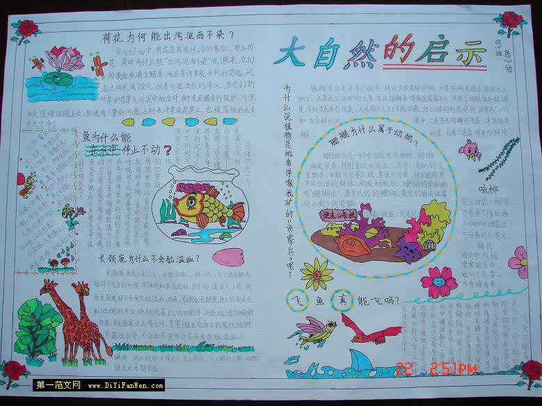 大自然的手抄报图片
